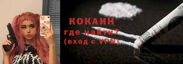 mix Богородицк