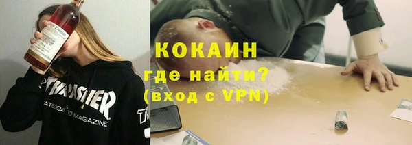 mix Богородицк
