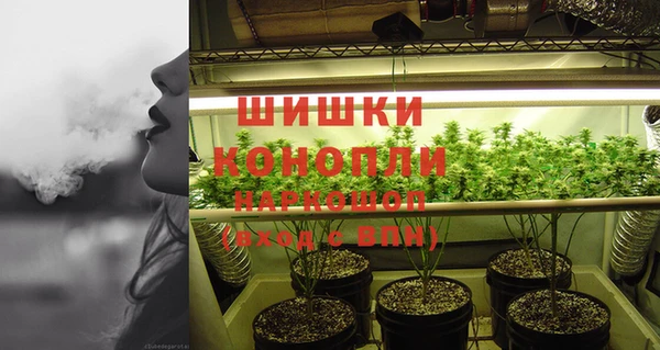 ПСИЛОЦИБИНОВЫЕ ГРИБЫ Богородск