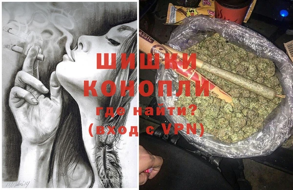 mix Богородицк