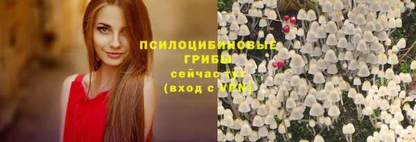 дмт Баксан