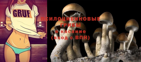 стаф Белоозёрский