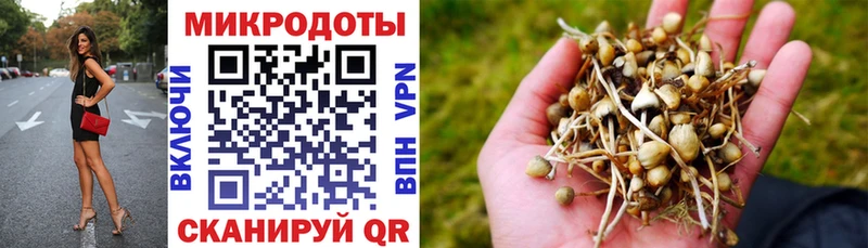 площадка наркотические препараты  Балей  Псилоцибиновые грибы Magic Shrooms  где купить наркоту 